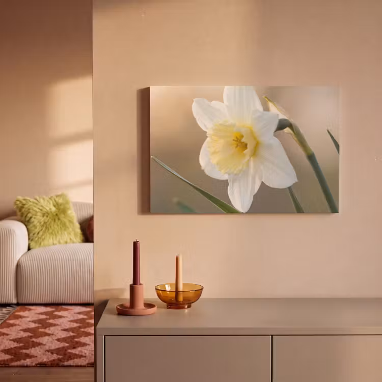 Narcis - Bloem - Minimalistisch canvas 2cm klein -sfeer1