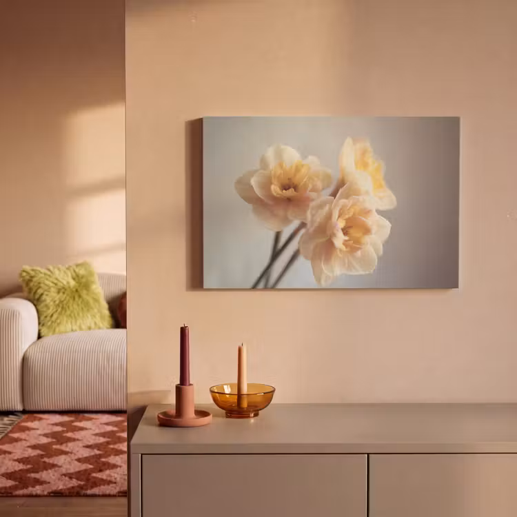 Narcissen - Geel - Bloemblaadjes canvas 2cm klein -sfeer1