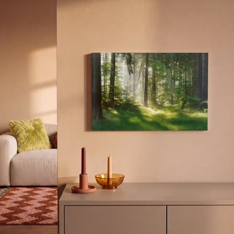Natuur - Bomen - Bos - Groen - Zon - Gras - Planten canvas 2cm klein -sfeer1