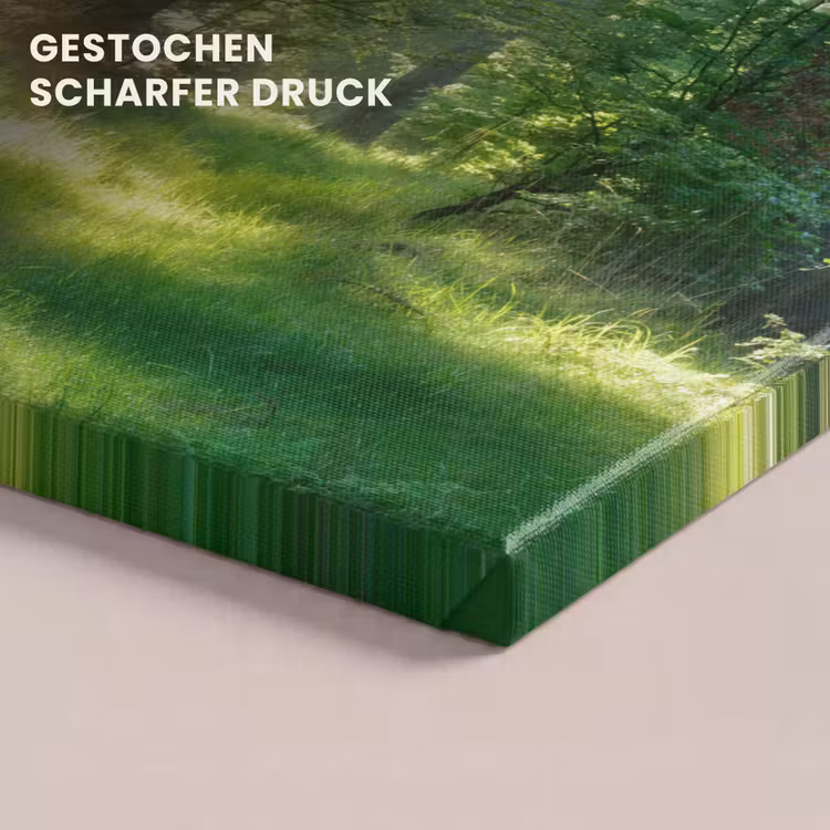 Natuur - Bomen - Bos - Groen - Zon - Gras - Planten canvas 2cm klein -closeup_print_DE