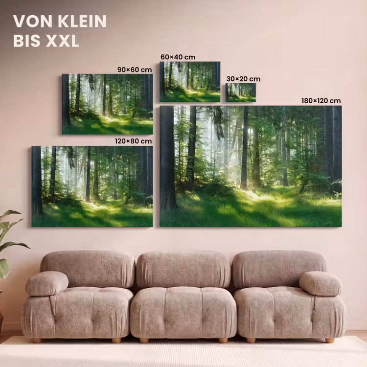Natuur - Bomen - Bos - Groen - Zon - Gras - Planten canvas 2cm klein -Xsfeer8_DE