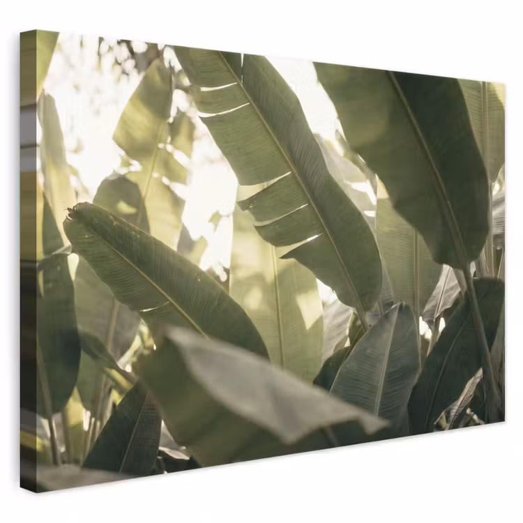 Natuur - Bladeren - Groen - Tropisch - Detail canvas 2cm klein -3d