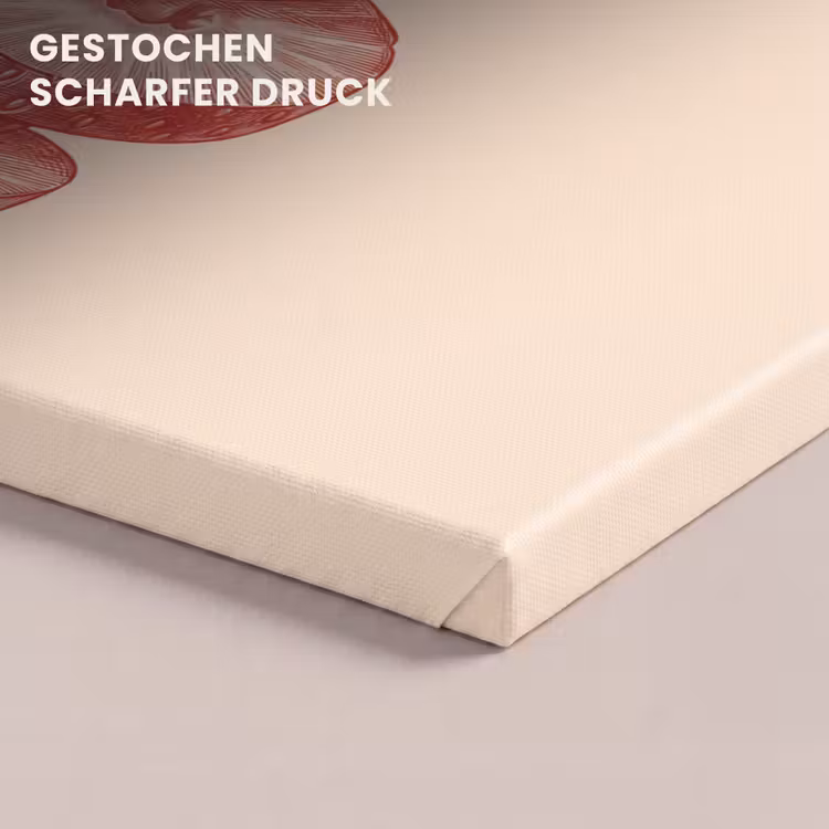 Fruit - Gesneden - Illustratie - Rood - Vintage canvas 2cm klein -closeup_print_DE