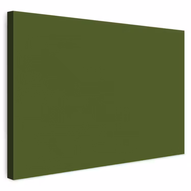 Olive - Drab - Groen canvas 2cm klein 34 -3d