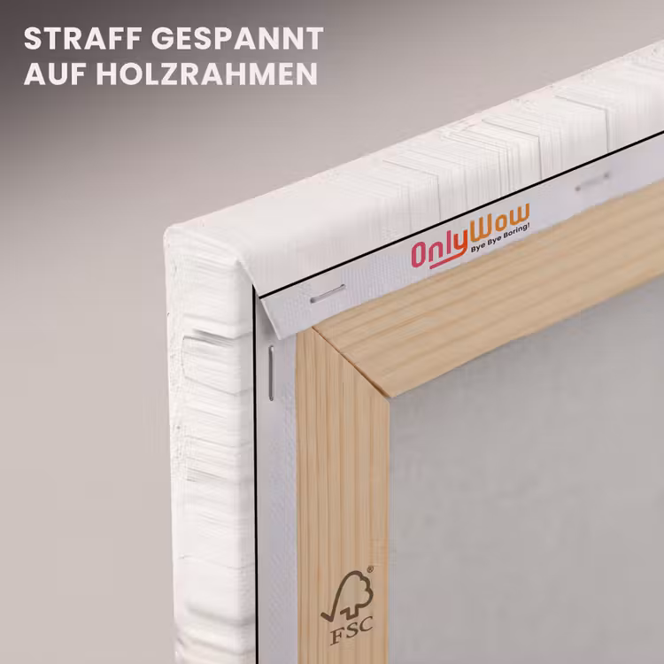 Leinwandbild - Olivenbaum – Wand – weiß - Olijfboom - muur - wit canvas 2cm klein