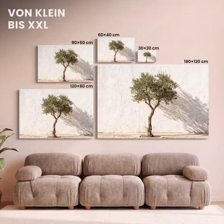 Leinwandbild - Olivenbaum – Wand – weiß - Olijfboom - muur - wit canvas 2cm klein
