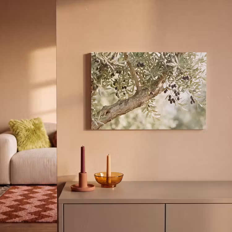 Leinwandbild - Olivenbaum – Zweig – grün - Olijfboom - tak - groen canvas 2cm klein