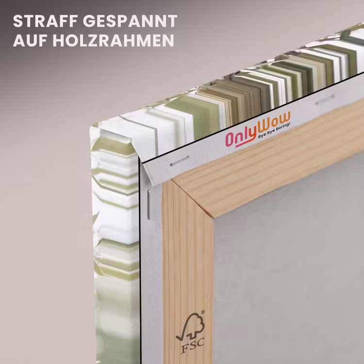 Leinwandbild - Olivenbaum – Zweig – grün - Olijfboom - tak - groen canvas 2cm klein