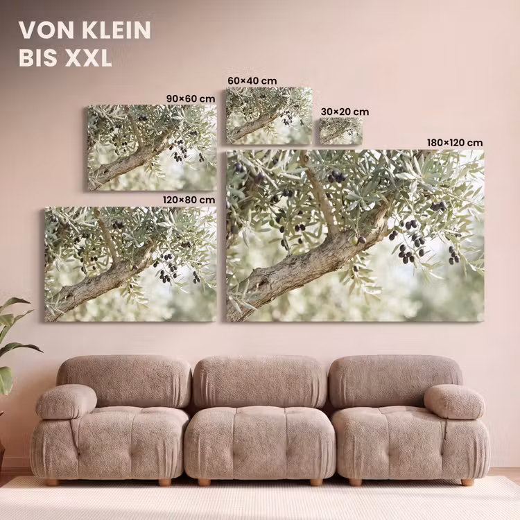 Leinwandbild - Olivenbaum – Zweig – grün - Olijfboom - tak - groen canvas 2cm klein