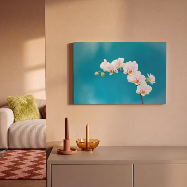 Orchidee - Bloemen - Plant - Wit - Paars canvas 2cm klein -sfeer1