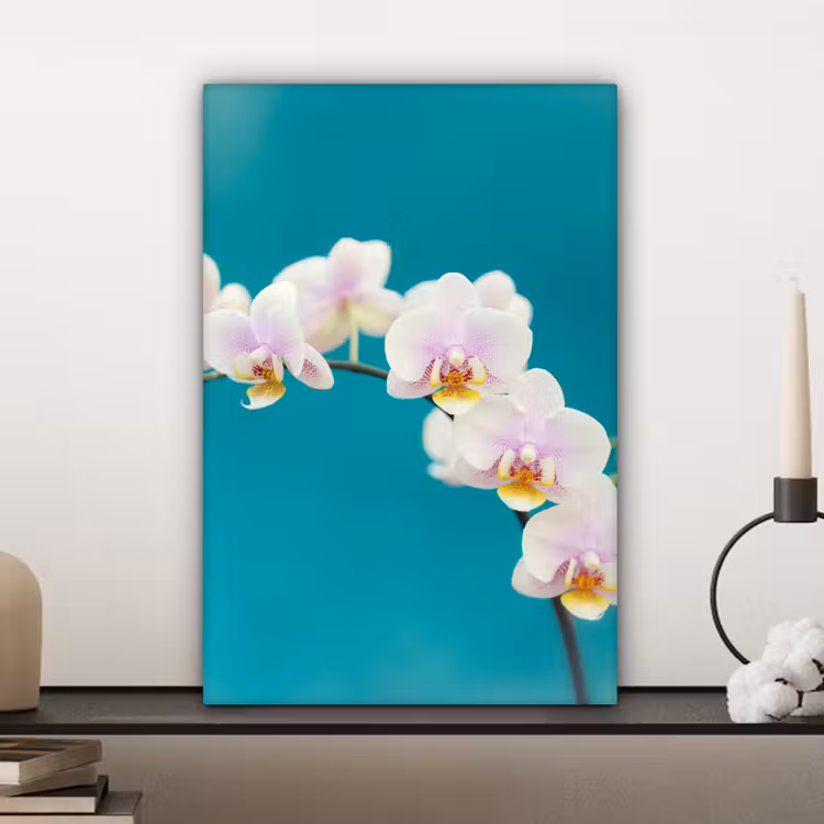 Orchidee - Bloemen - Plant - Wit - Paars canvas 2cm klein -closeup_print_DE