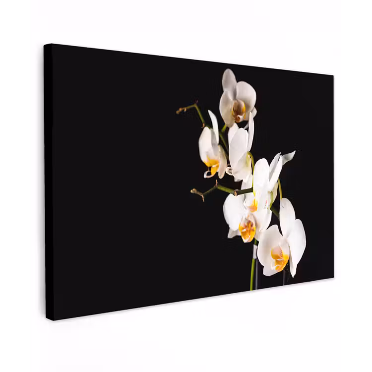 Orchidee - Bloemen - Planten - Botanisch canvas 2cm klein -z3d