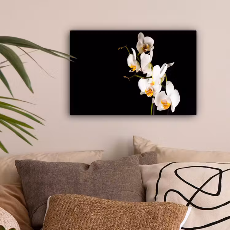 Orchidee - Bloemen - Planten - Botanisch canvas 2cm klein -sfeer1