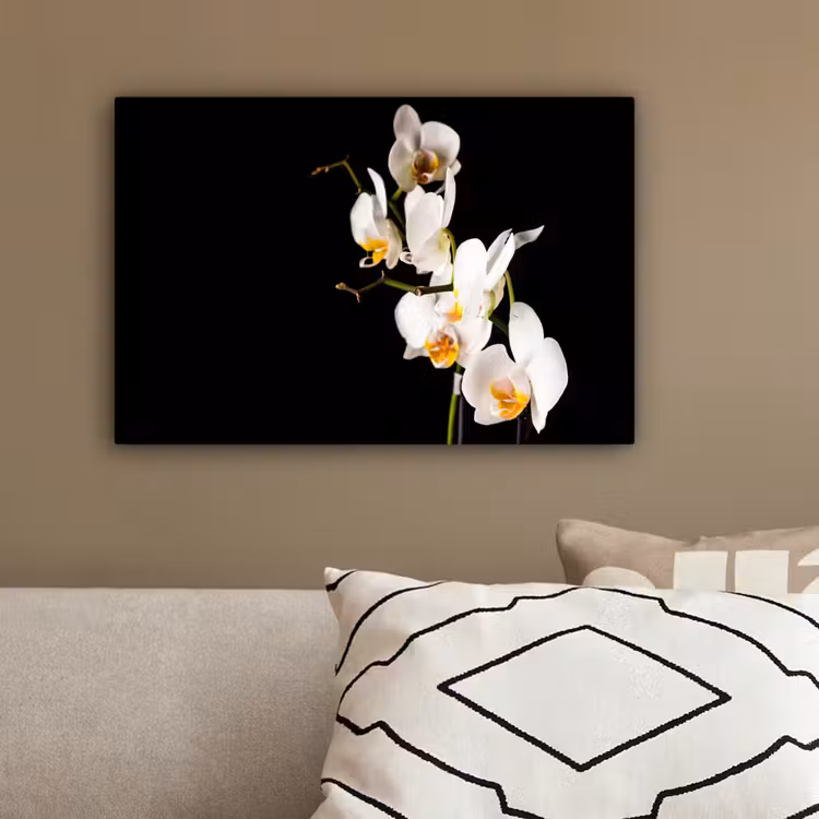 Orchidee - Bloemen - Planten - Botanisch canvas 2cm klein -sfeer3
