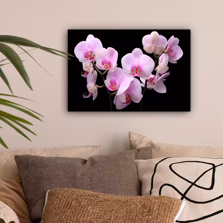 Orchidee - Bloemen - Roze - Flora canvas 2cm klein -sfeer1
