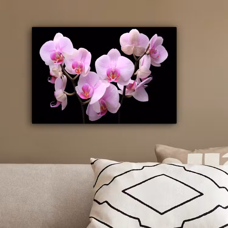 Orchidee - Bloemen - Roze - Flora canvas 2cm klein -sfeer6