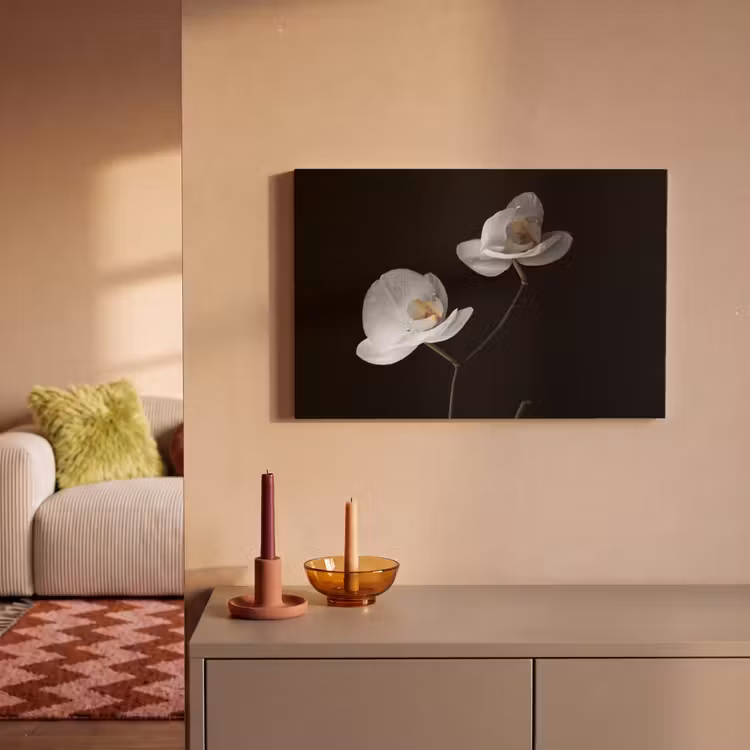 Orchidee - Bloemen - Zwart - Wit - Stilleven canvas 2cm klein -sfeer1