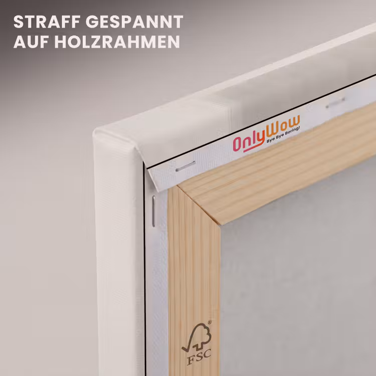 Ovaal - Kleurvlakken - Penseelstreken canvas 2cm klein -uniquesellingpoint_afwerking-onlywow_DE