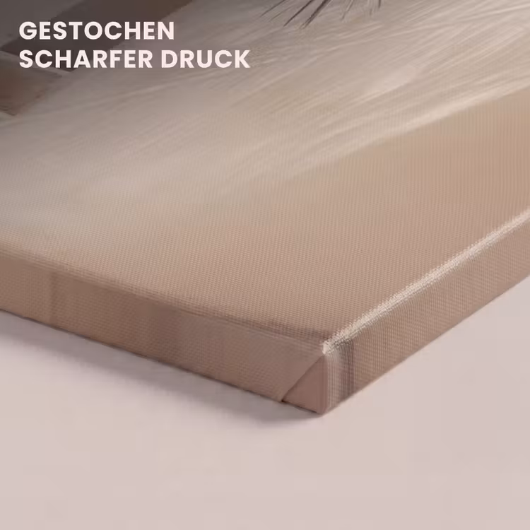 Palmboom - Schaduw - Trap - Beige canvas 2cm klein -uniquesellingpoint_afwerking-onlywow_DE