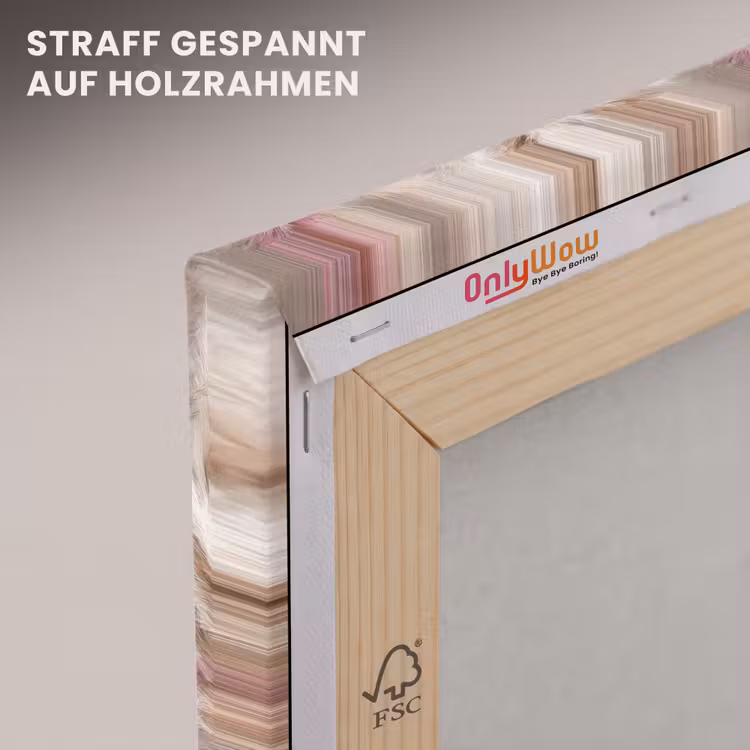 Pampasgras - Pluizig - Kleurrijk canvas 2cm klein 34 -uniquesellingpoint_afwerking-onlywow_DE