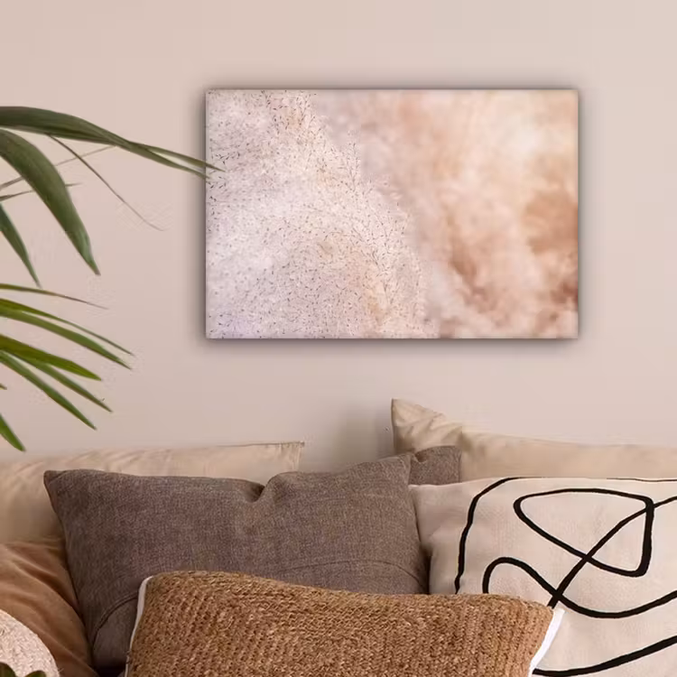 Pampasgras - Structuur - Planten - Natuur canvas 2cm klein -sfeer1