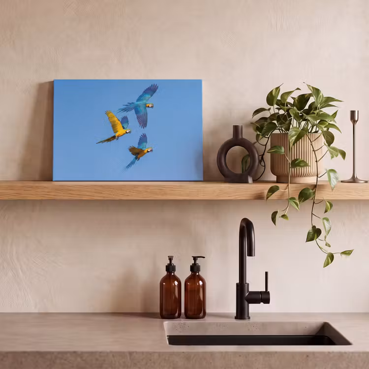 Papagaai - Vliegen - Blauw - Geel canvas 2cm klein -closeup_print_DE