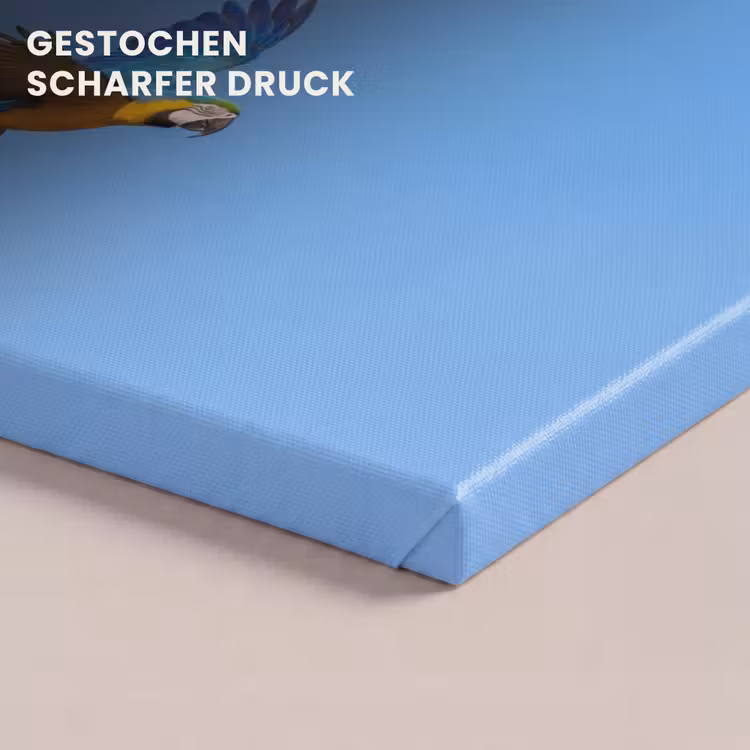 Papagaai - Vliegen - Blauw - Geel canvas 2cm klein -uniquesellingpoint_afwerking-onlywow_DE
