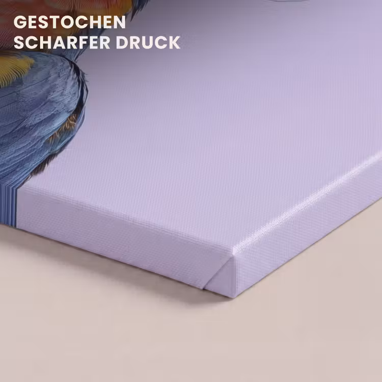 Papegaai - Koksmuts - Paars - Cute canvas 2cm klein -closeup_print_DE