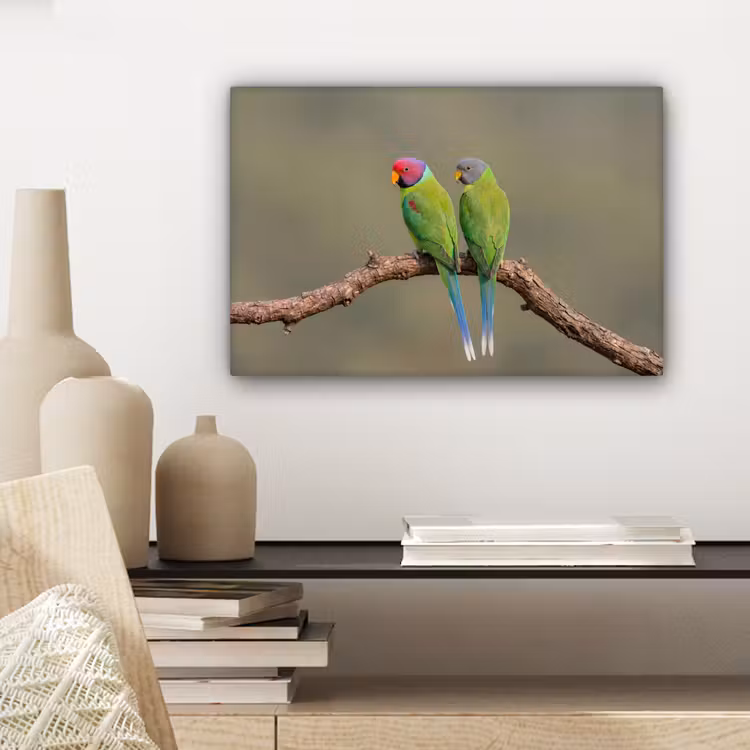 Papagaai - Tak - Natuur - Kleurrijk canvas 2cm klein -closeup_print_DE
