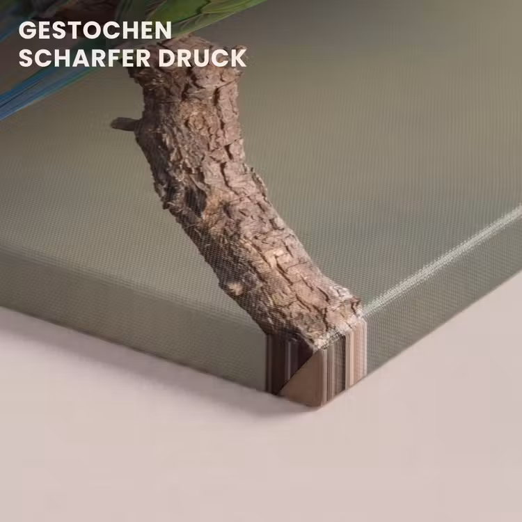 Papagaai - Tak - Natuur - Kleurrijk canvas 2cm klein -uniquesellingpoint_afwerking-onlywow_DE