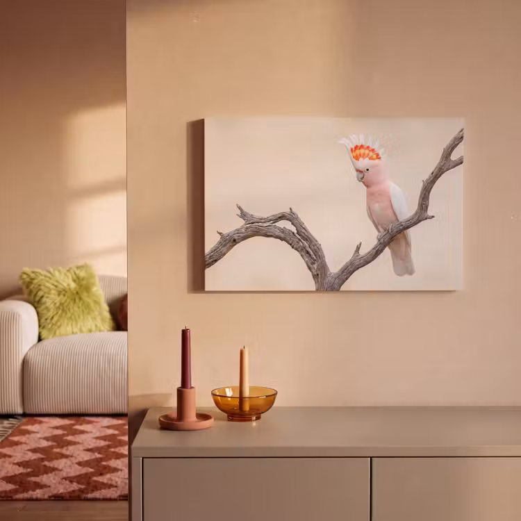 Papagaai - Tak - Roze canvas 2cm klein -sfeer1