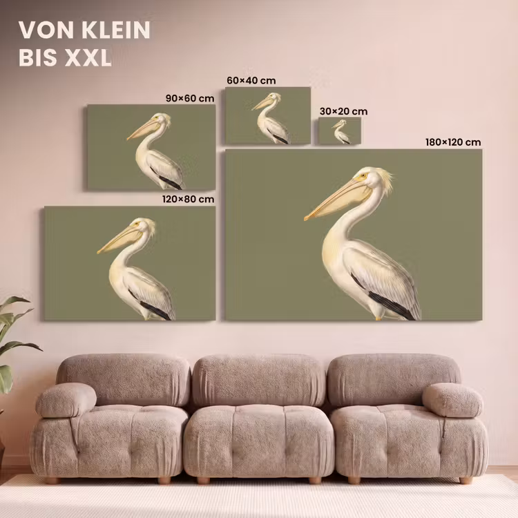 Pelikaan - Wit - Vogel - Klassiek - Natuur canvas 2cm klein -Xsfeer8_DE