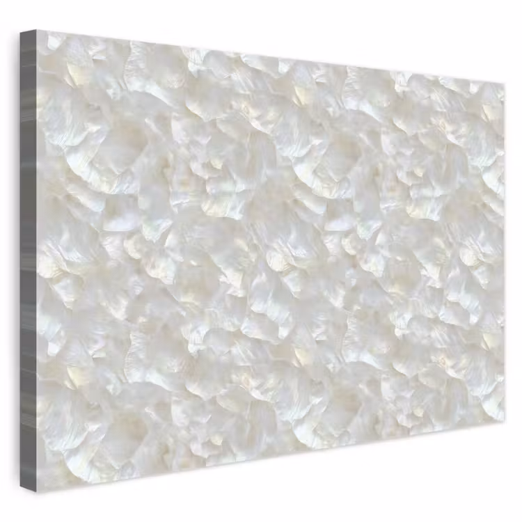 Parelmoerglans - Wit - Schelp canvas 2cm klein 34 -3d