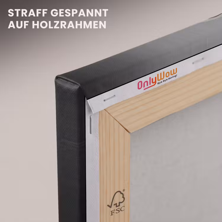 Pan - Vis - Zwart - Wit canvas 2cm klein -uniquesellingpoint_afwerking-onlywow_DE