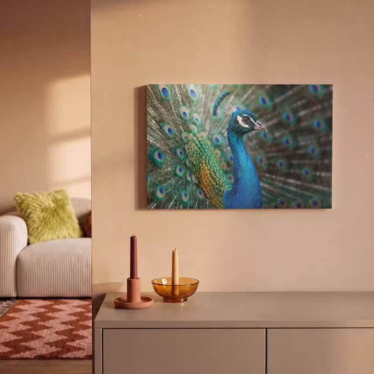 Pauw - Veren - Blauw canvas 2cm klein -sfeer1