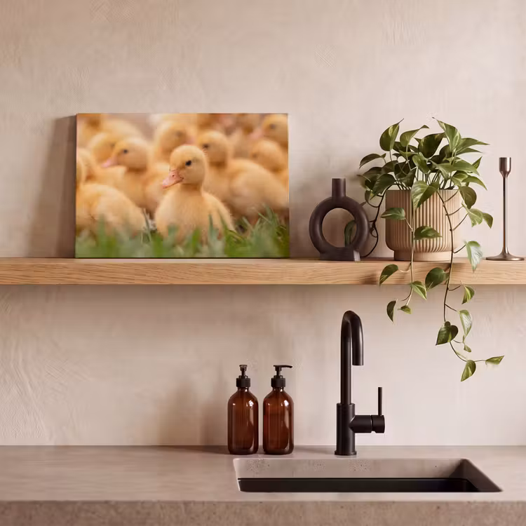 Pijltje - Eend - Natuur - Geel canvas 2cm klein -sfeer6