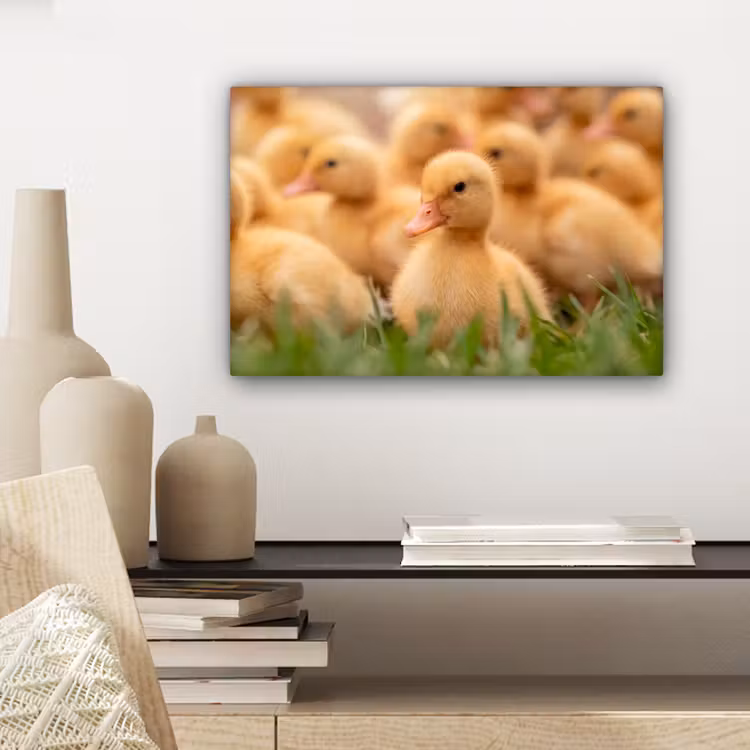 Pijltje - Eend - Natuur - Geel canvas 2cm klein -closeup_print_DE