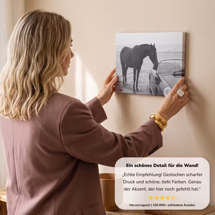 Paard - Auto - Zwart - Wit canvas 2cm klein -sfeer3