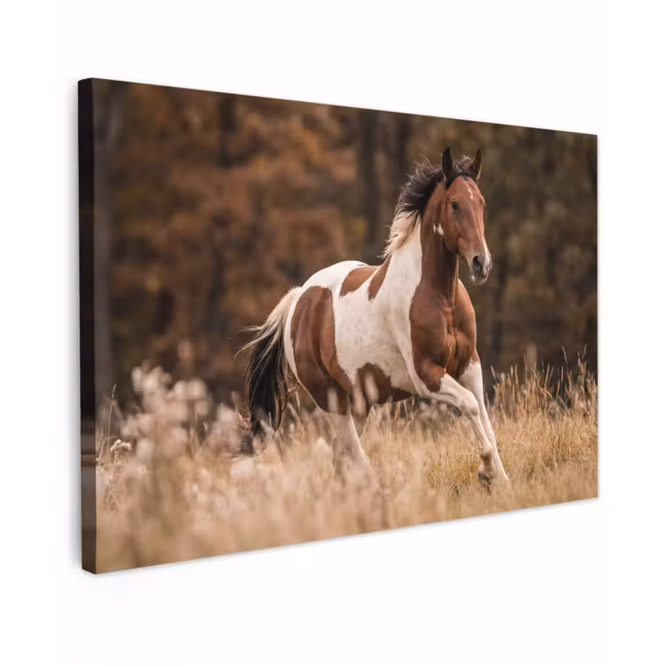 Paard - Bruin - Gras canvas 2cm klein -z3d