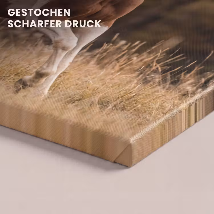 Paard - Bruin - Gras canvas 2cm klein -closeup_print_DE