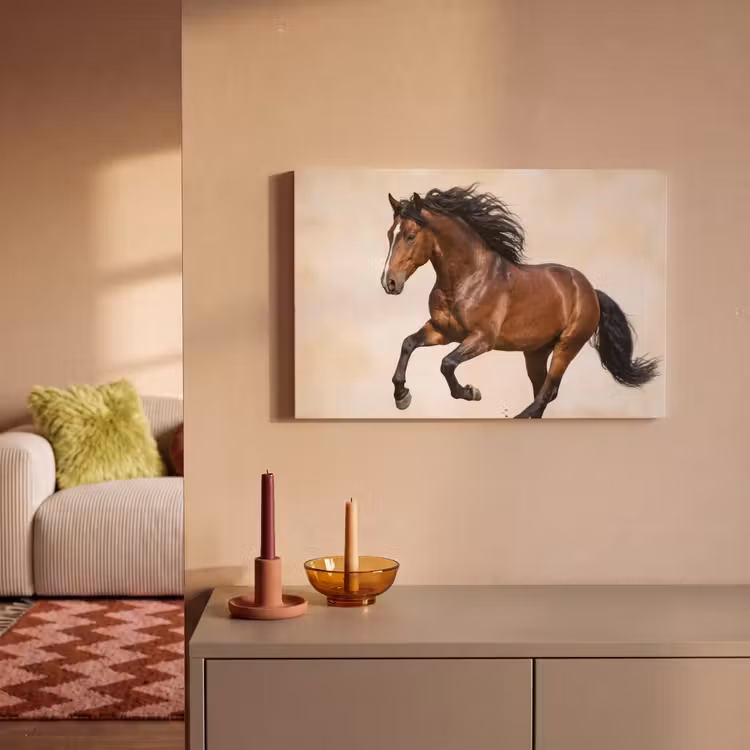 Paard - Galop - Energie canvas 2cm klein -sfeer1
