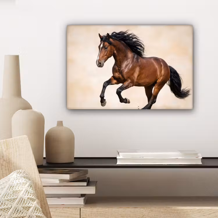 Paard - Galop - Energie canvas 2cm klein -closeup_print_DE