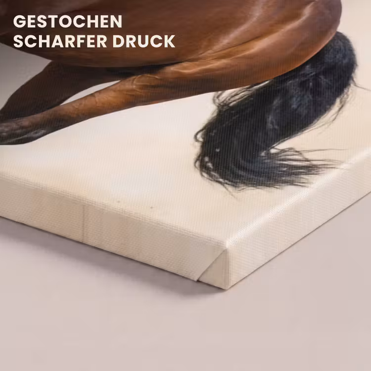 Paard - Galop - Energie canvas 2cm klein -uniquesellingpoint_afwerking-onlywow_DE