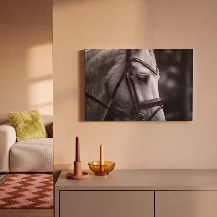 Paard - Schimmel - Portret canvas 2cm klein -sfeer1