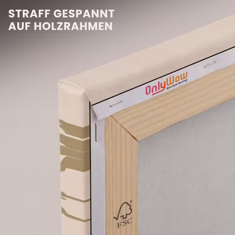 Paard - Galopperend - Woestijn - Illustratie canvas 2cm klein -uniquesellingpoint_afwerking-onlywow_DE
