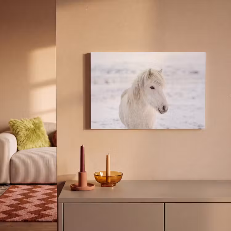 Paard - Kop - Winter - Dieren - Wit canvas 2cm klein -sfeer1