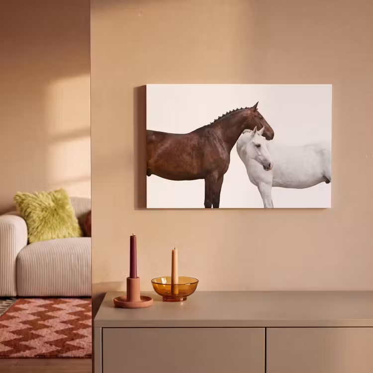 Paard - Modern - Balans canvas 2cm klein -sfeer1