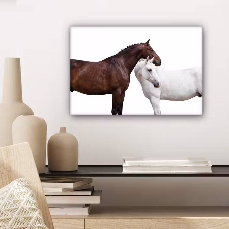Paard - Modern - Balans canvas 2cm klein -sfeer6