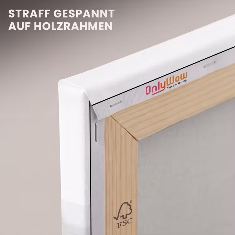 Paard - Modern - Balans canvas 2cm klein -uniquesellingpoint_afwerking-onlywow_DE