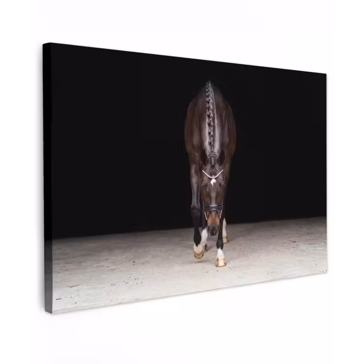 Paard - Modern - Portret canvas 2cm klein -z3d
